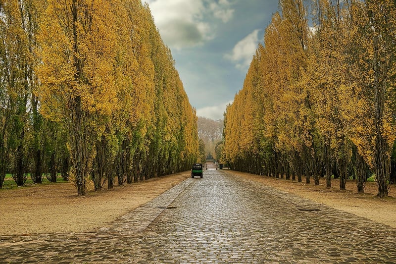 Versailles Gardens, France
